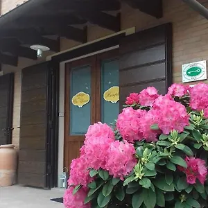 Da Ca' Vecia *** Spilamberto